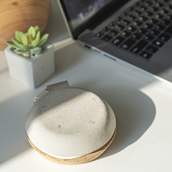 Meetair Conference Speaker Anricch