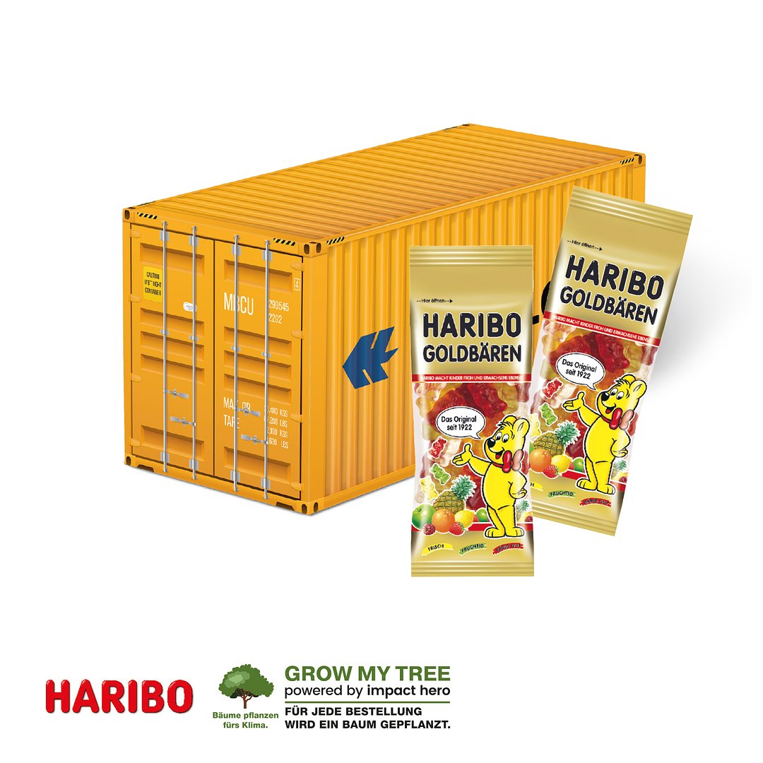 3D PRÄSENT „CONTAINER”