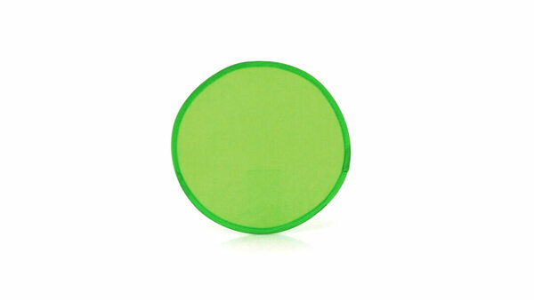 Frisbie Idson