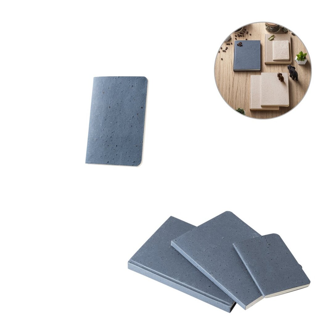 A6 Notizbuch Regians