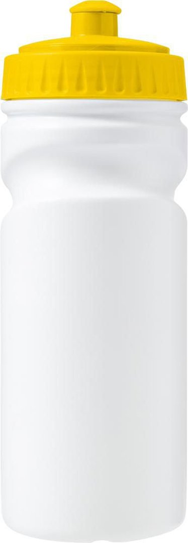 Trinkflasche Regnana | 500 ml