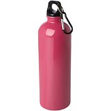 750 ml RCS-zertifizierte, einwandige Trinkflasche aus Edelstahl mit Karabinerhaken - Lüth