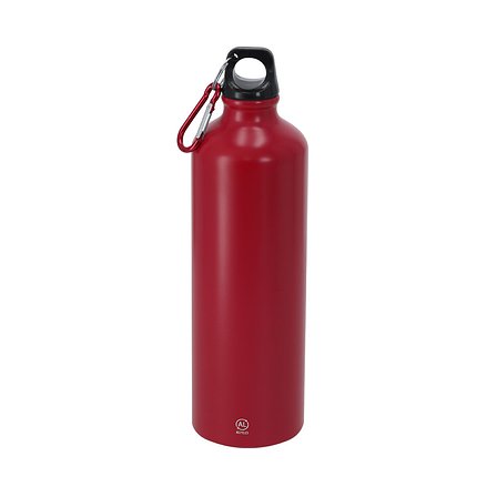 Trinkflasche Idxon