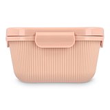 Lunchbox Tina Jonnin