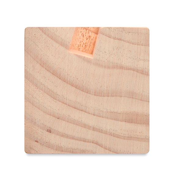 Organizer mit Pflanz-Set Mascik