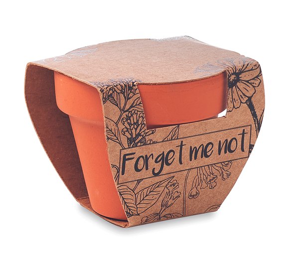 Terracotta-Topf Vergissmeinnich Saran