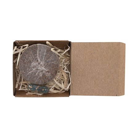 Pflanzbares Pack Idael