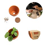 Terracotta Töpfchen - Basilikum Jongiun