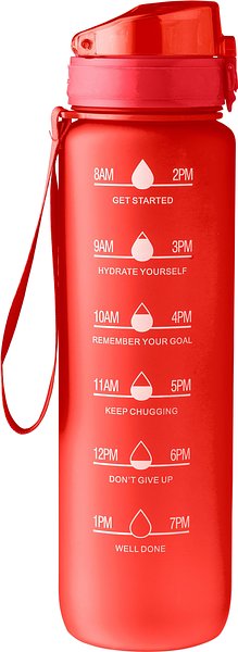 Trinkflasche Iteilgiep | Recycelt | 1 l