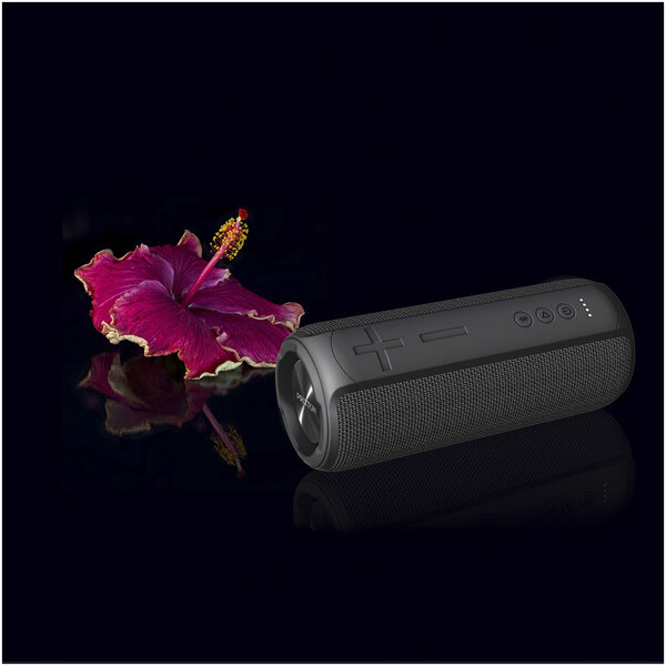 Ohana XL Bluetooth® Lautsprecher - Veili