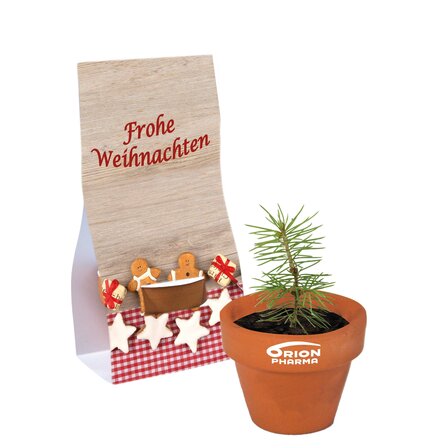 Logo-Töpfchen Fichtensamen