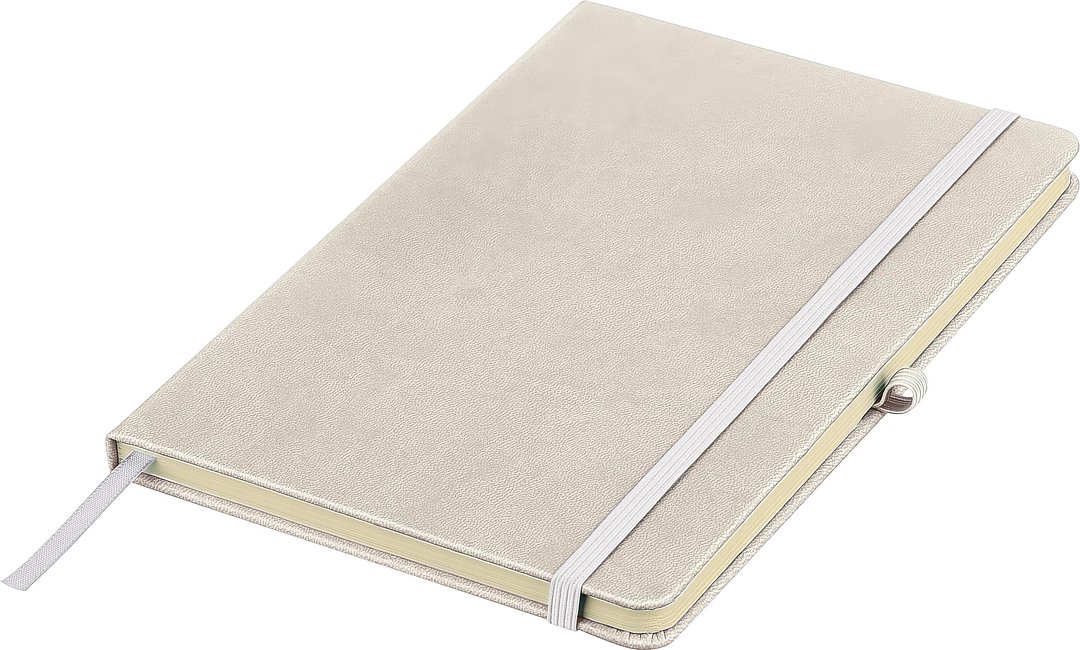 Recyceltes Notizbuch A5 Steilga