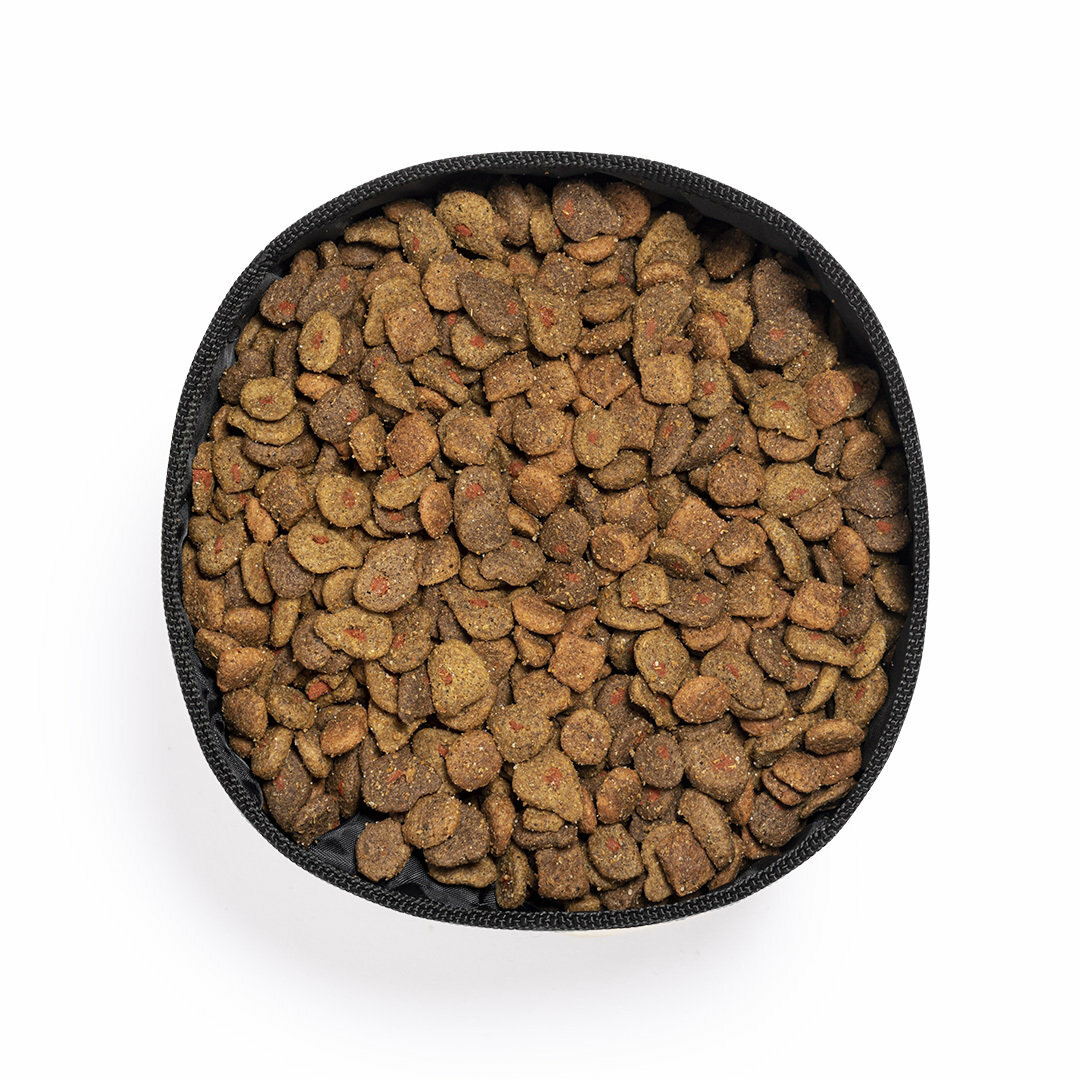 Faltbare Schüssel Idppy