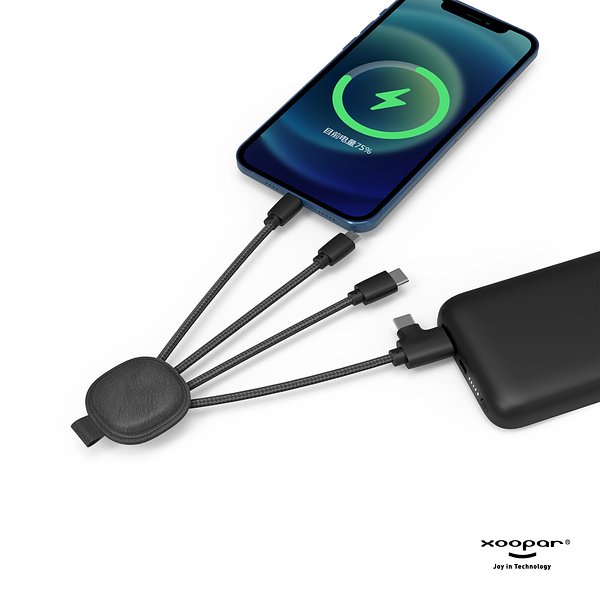 Iné Smart Charging cable with NFC Orsich