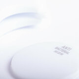 Antibakteriell Schlüsselanhänger EK-Chip Idtis