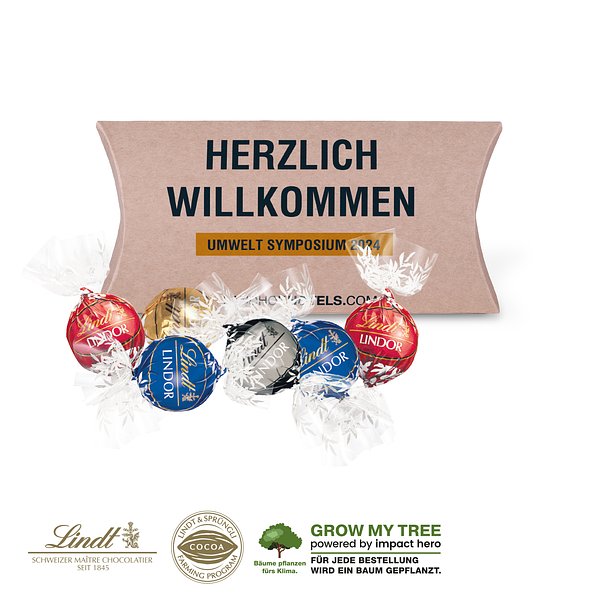 KISSENVERPACKUNG „CREATIVE”