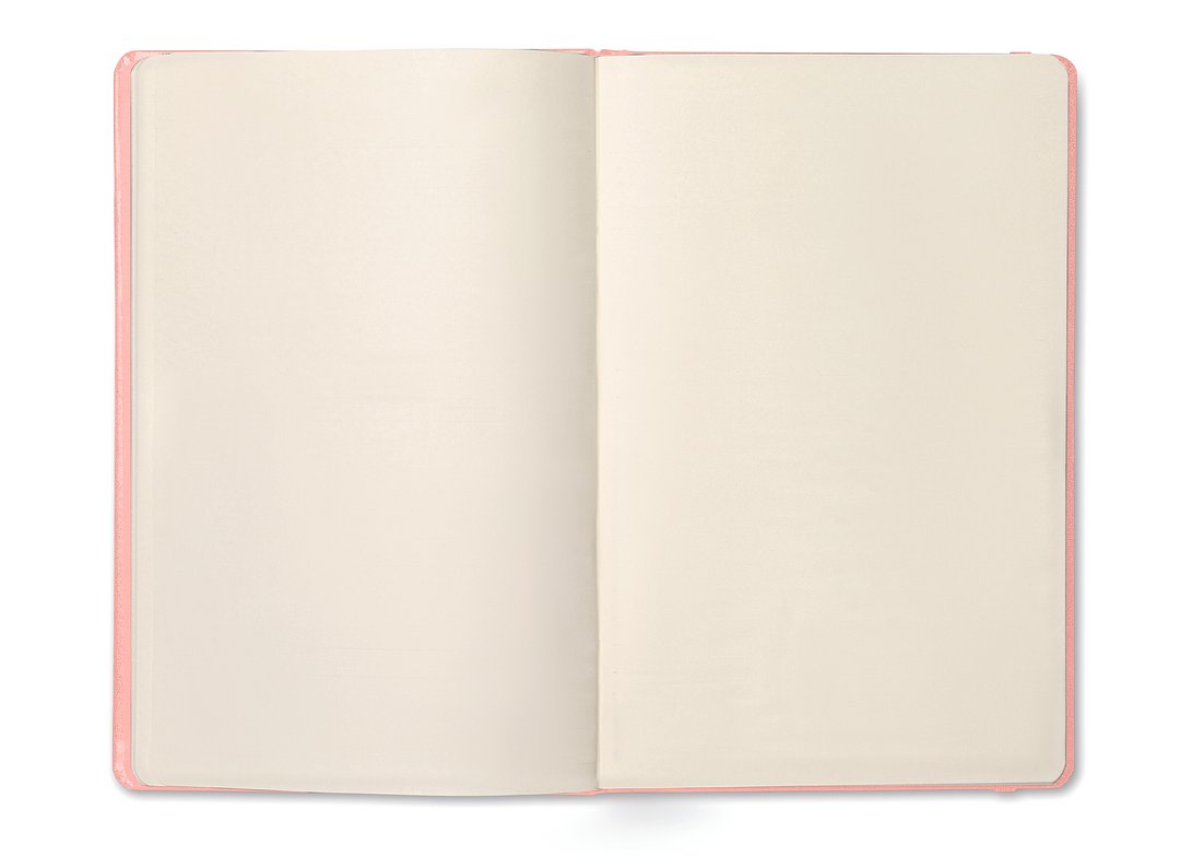 DIN A5 Notizbuch Giers