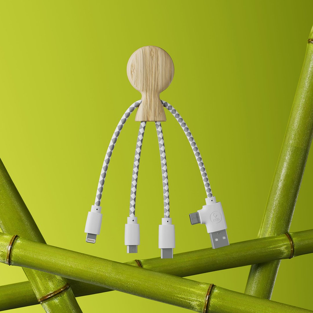 Mr. Bio Bamboo Charging Cable Gillanna