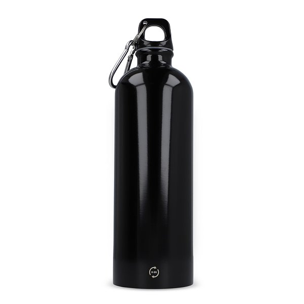 R-Edelstahl einwandige Flasche mit Karabiner 750ml Chatha