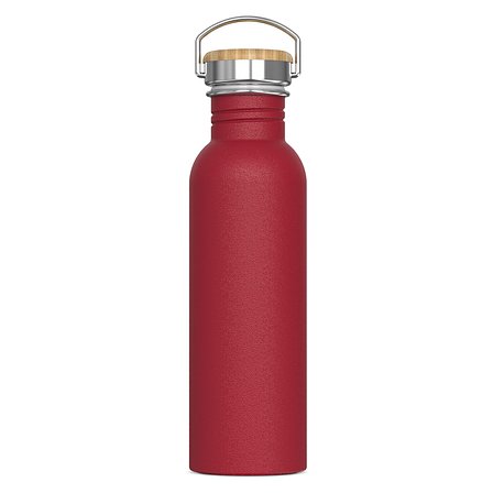 Wasserflasche Ashton 750ml Ureili
