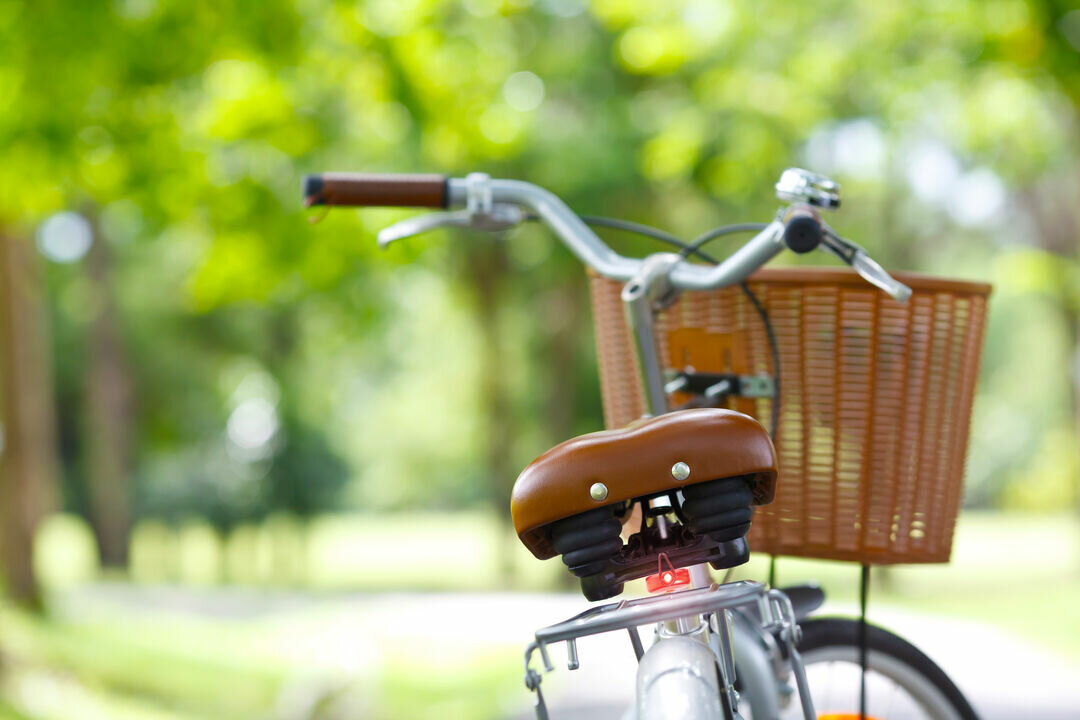 Sicherheitslicht Idwel