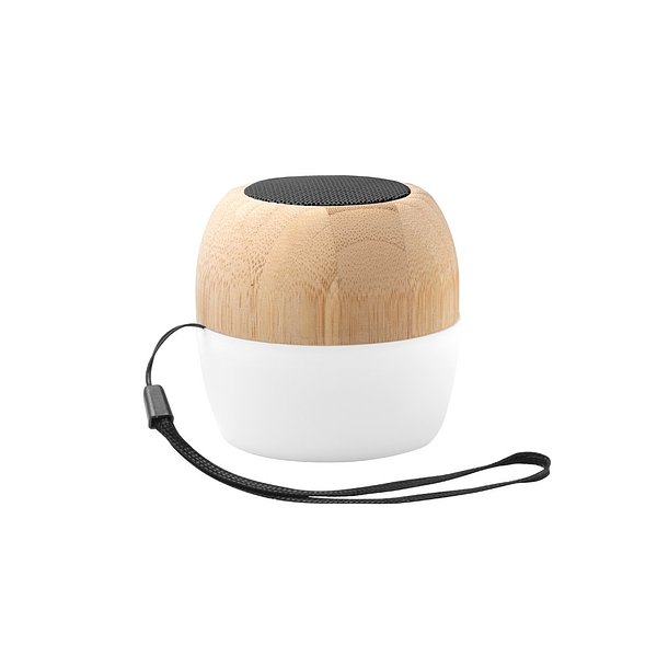 Bluetooth Lautsprecher mit Mikrofon Stinel