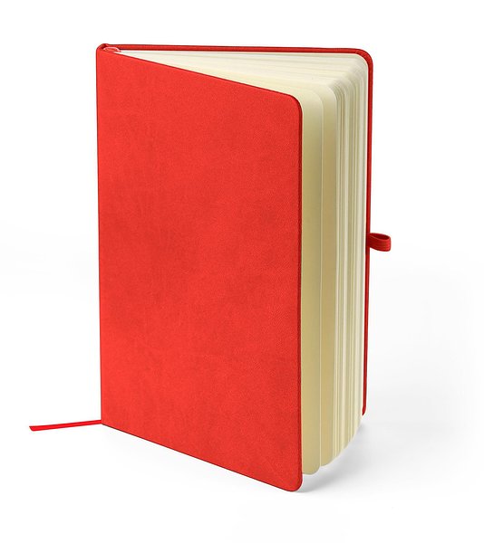 Recyceltes Notizbuch A5 Steilga