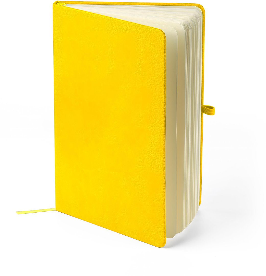 Recyceltes Notizbuch A5 Steilga