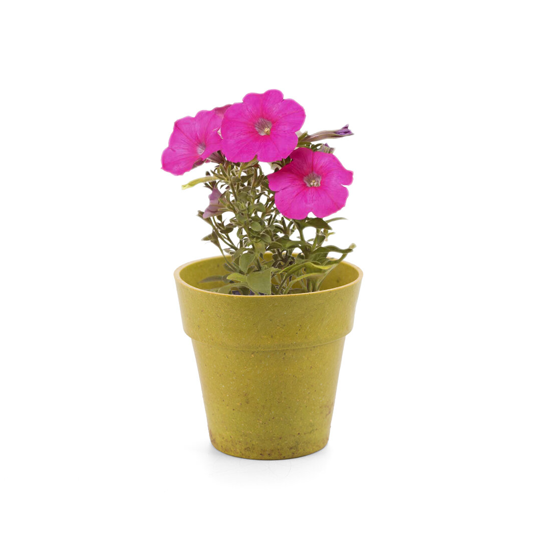 Blumentopf Idert
