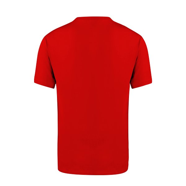 Erwachsene Farbe T-Shirt Idiyo