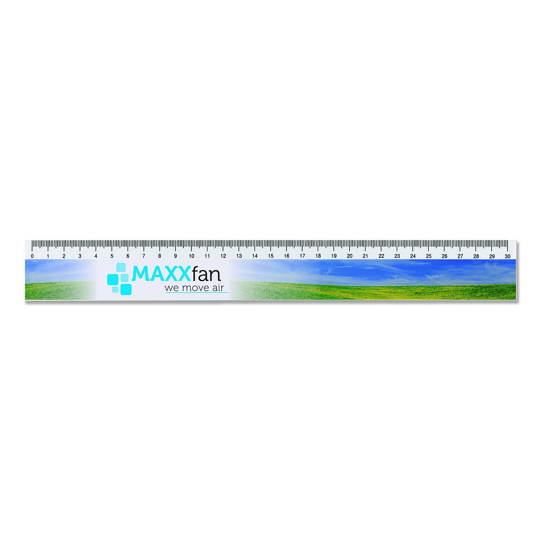 Lineal 30 cm Veza