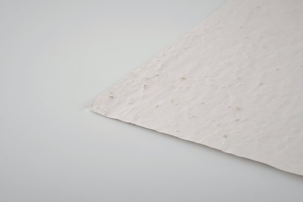 DIN A6 Wildblumen-Samenpapier Lüta