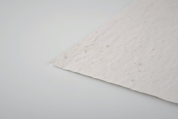 DIN A6 Wildblumen-Samenpapier Lüta