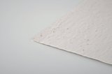 DIN A6 Wildblumen-Samenpapier Lüta