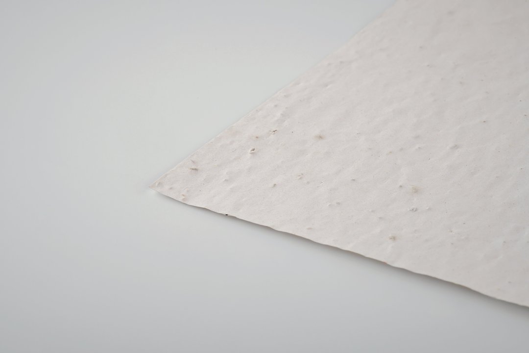 DIN A6 Wildblumen-Samenpapier Lüta