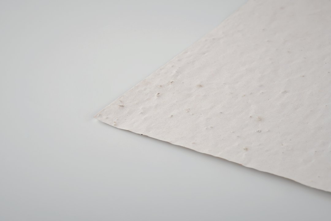 DIN A6 Wildblumen-Samenpapier Lüta