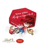 Süsse Präsentbox "Maxi" mit Lindor Prainés