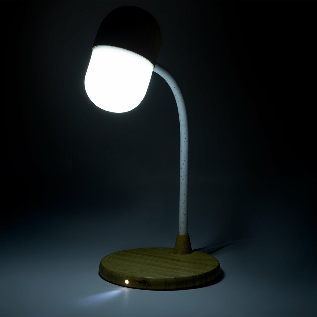 Multifunktion Lampe Idars