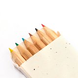 Samen Bleistiftbox Idlar