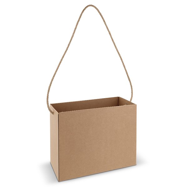 Karton-Tasche 32x16x24cm Iteile