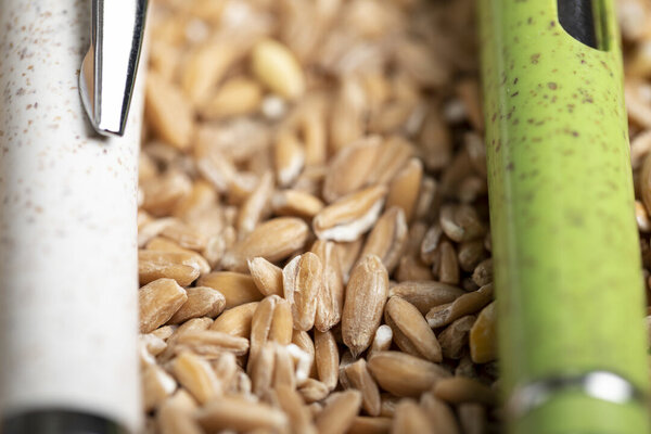 Kugelschreiber Idkot