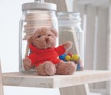 Teddybär mit Hoody Bengi