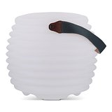 CoolLux Stimmungslicht und kabelloser Lautsprecher Orlini