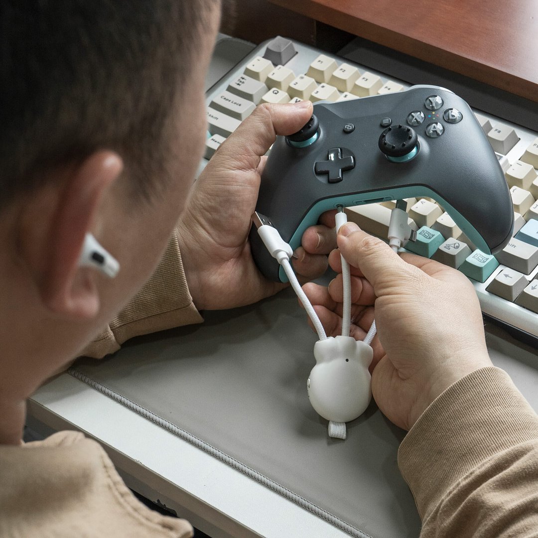 OctopusFly Audio-Transmitter Paliuan