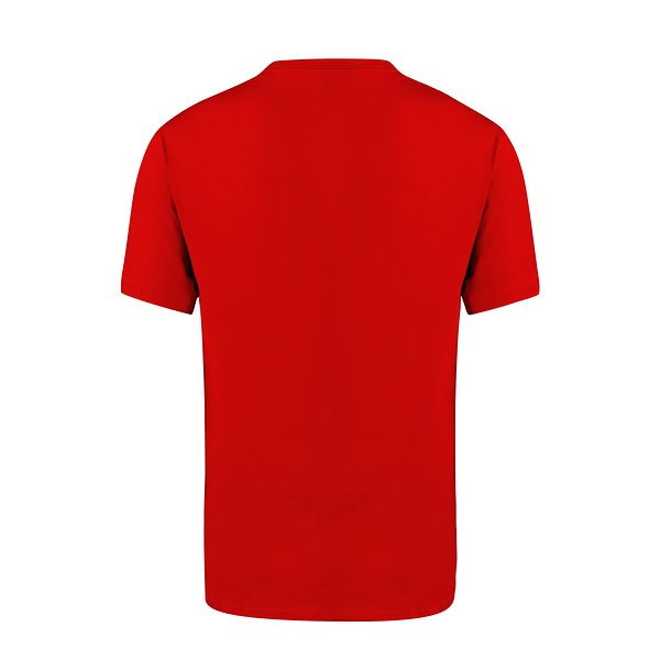 Erwachsene Farbe T-Shirt Idiyo