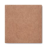 Pflanz-Set Sonnenblume Benglia