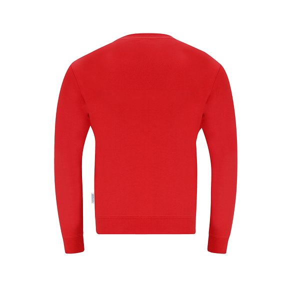 Erwachsene Sweatshirt Idton