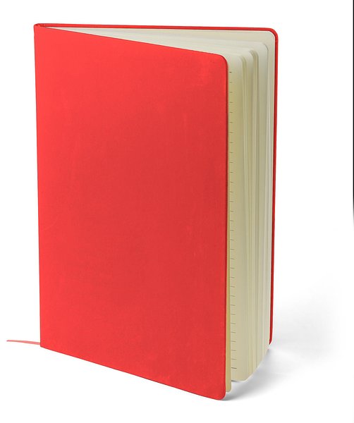 Notizbuch A4 Frileenat