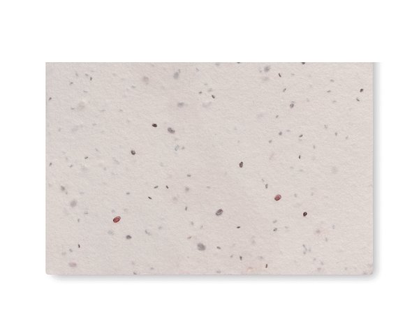 Wildblumensamen-Visitenkarte. Walina