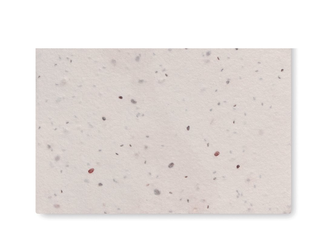 Wildblumensamen-Visitenkarte. Walina